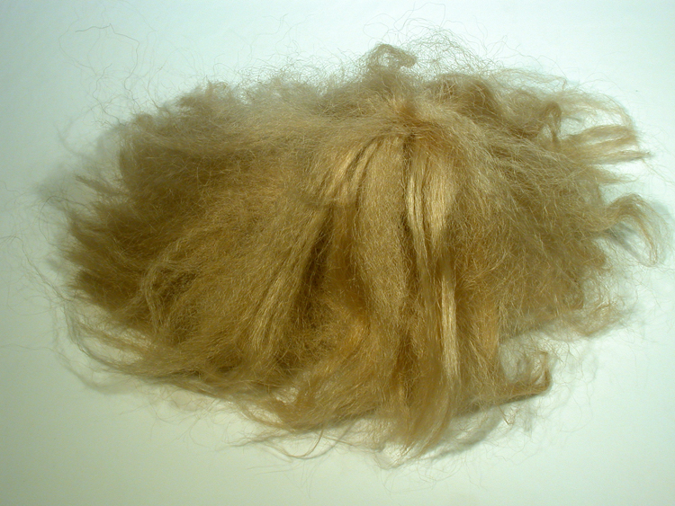 Bruno Pelassy, Bestioles