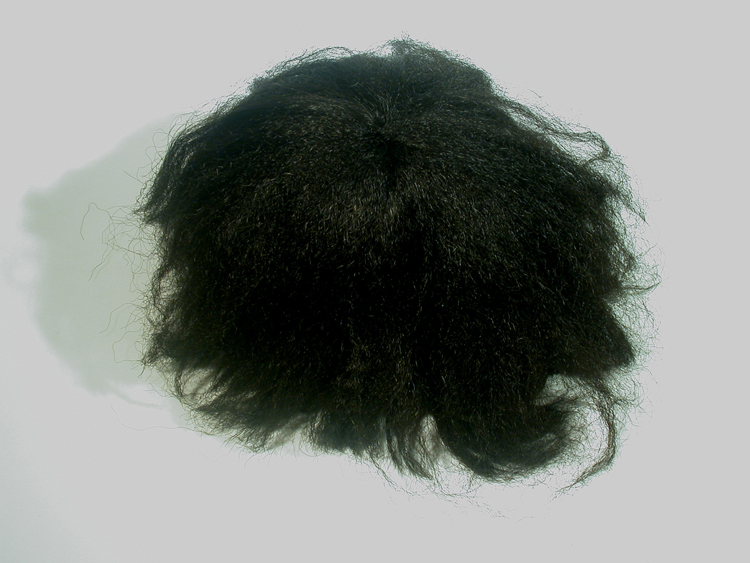 Bruno Pelassy, Bestioles