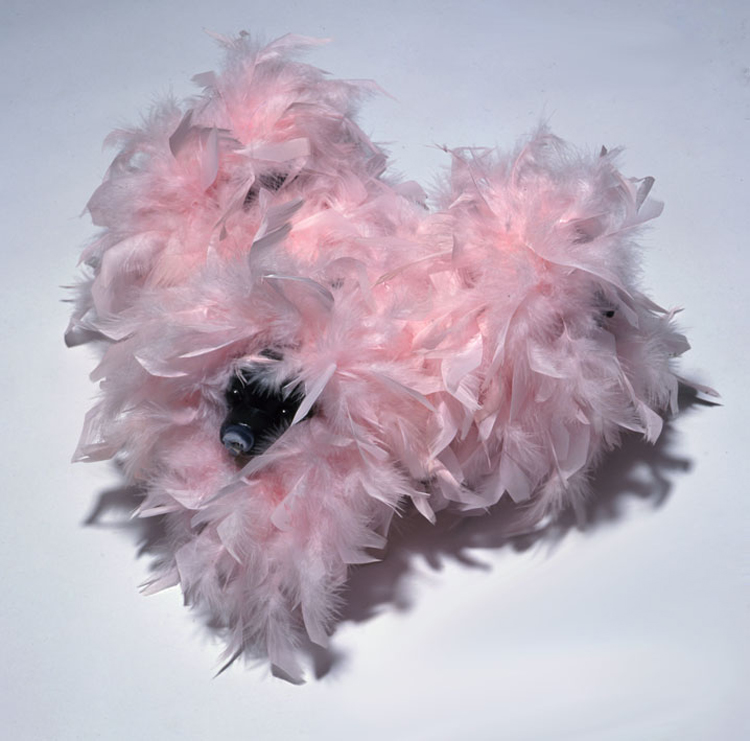 Bruno Pelassy, Bestioles