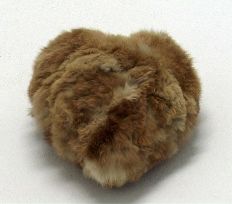 Bruno Pelassy, Bestioles