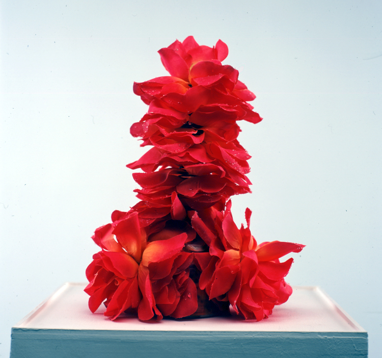 Bruno Pelassy, Bestioles