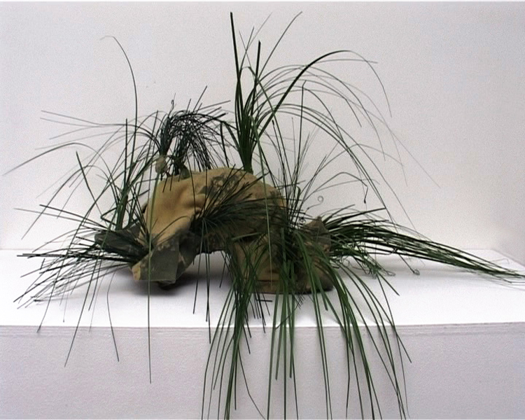 Bruno Pelassy, Bestioles