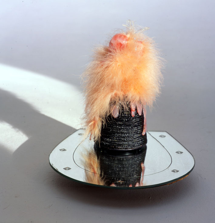 Bruno Pelassy, Bestioles