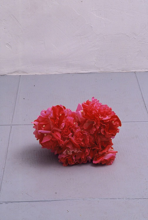 Bruno Pelassy, Bestioles